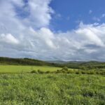 Property photo for land for sale in Tioga County Pennsylvania