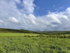 Property photo for land for sale in Tioga County Pennsylvania