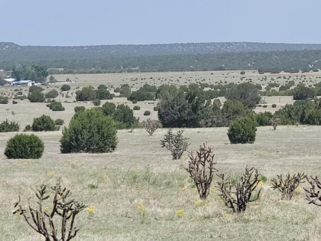 Property photo for land for sale in Torrance County New Mexico