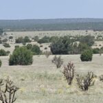 Property photo for land for sale in Torrance County New Mexico
