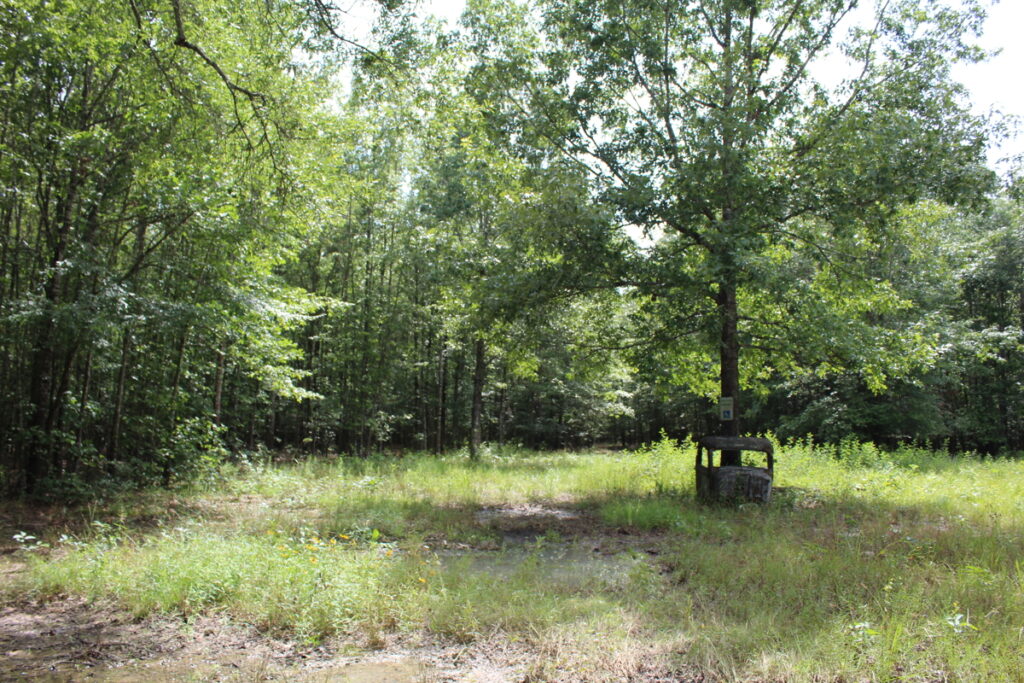 Property photo for land for sale in Red River County Texas