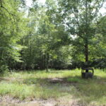 Property photo for land for sale in Red River County Texas