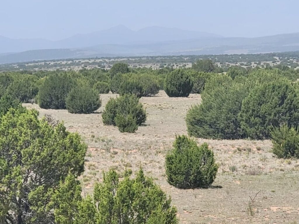 Property photo for land for sale in Torrance County New Mexico