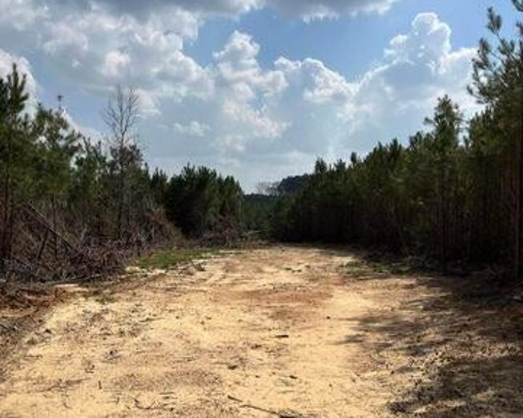 Property photo for land for sale in Madison County Mississippi