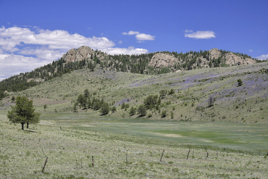 Property photo for land for sale in Park County Colorado