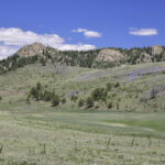 Property photo for land for sale in Park County Colorado