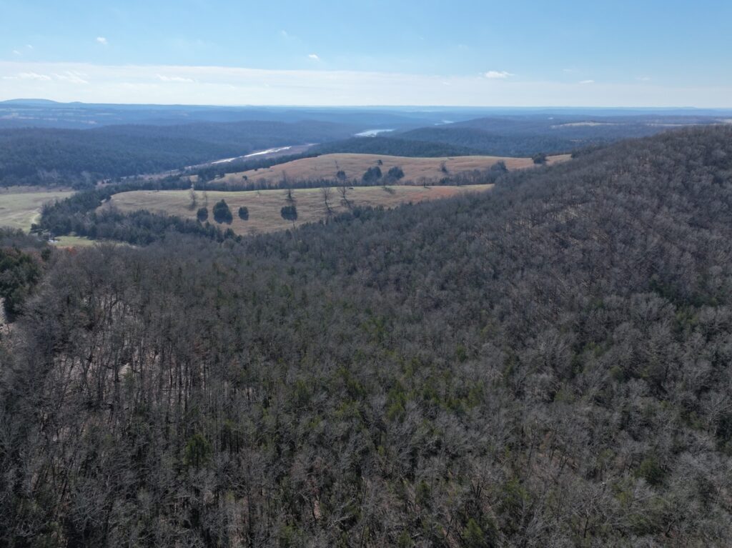 Property photo for land for sale in Ozark County Missouri