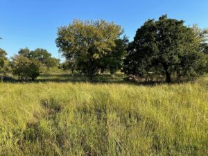 Property photo for land for sale in Brown County Texas