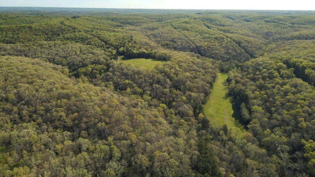 Property photo for land for sale in Maries County Missouri