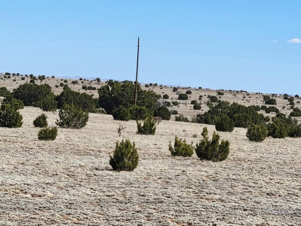 Property photo for land for sale in Torrance County New Mexico