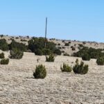 Property photo for land for sale in Torrance County New Mexico