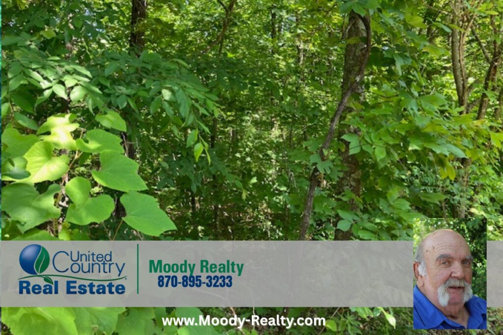 Property photo for land for sale in Fulton County Arkansas