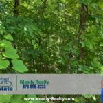 Property photo for land for sale in Fulton County Arkansas