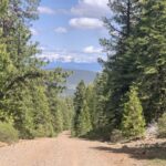 Property photo for land for sale in Modoc County California