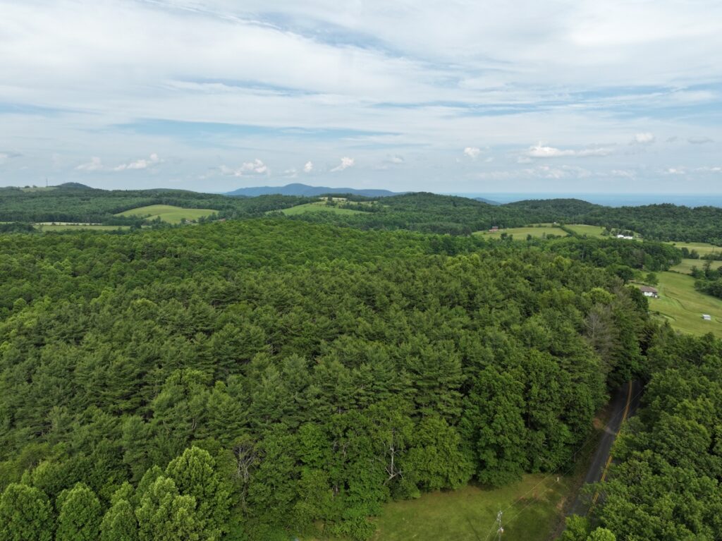 Property photo for land for sale in Patrick County Virginia
