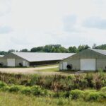 Property photo for land for sale in Claiborne County Mississippi