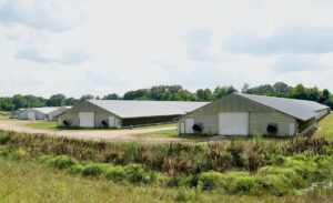 Property photo for land for sale in Claiborne County Mississippi