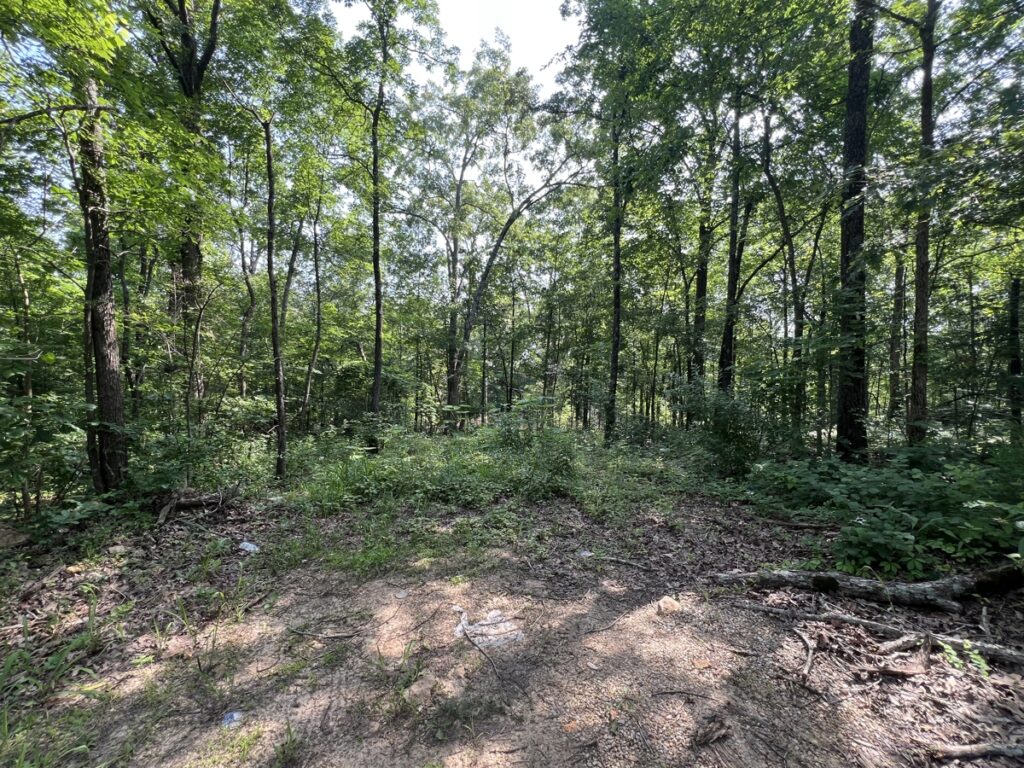 Property photo for land for sale in Wayne County Missouri