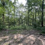 Property photo for land for sale in Wayne County Missouri