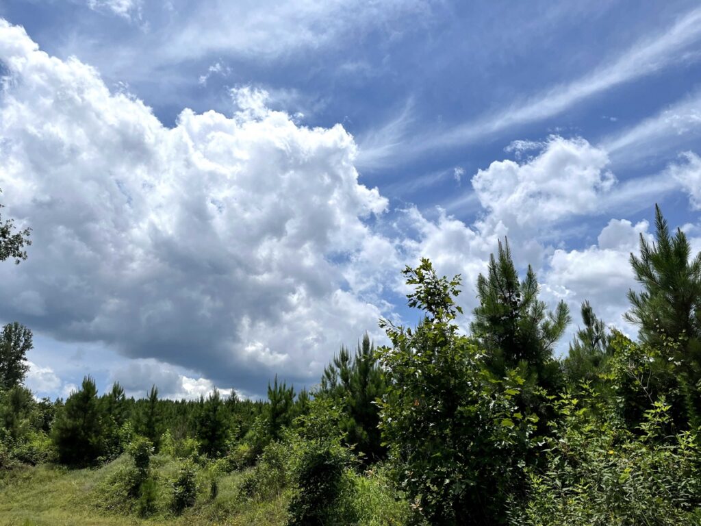 Property photo for land for sale in Hot Spring County Arkansas