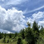 Property photo for land for sale in Hot Spring County Arkansas