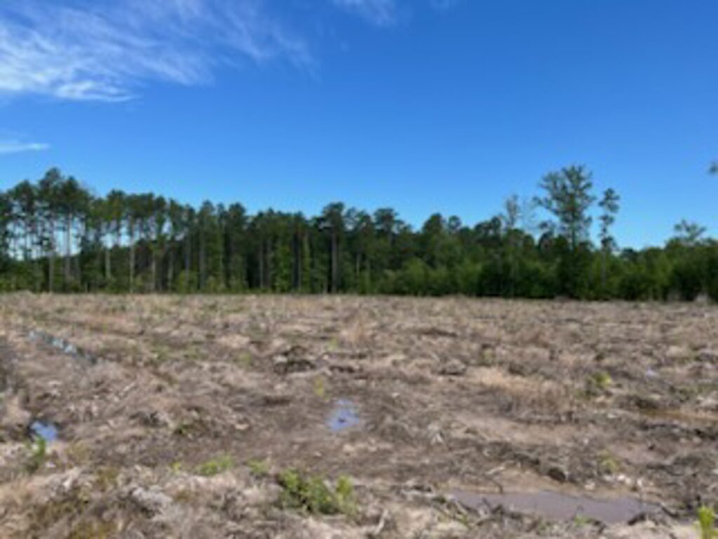 Property photo for land for sale in Grant County Arkansas