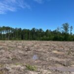 Property photo for land for sale in Grant County Arkansas