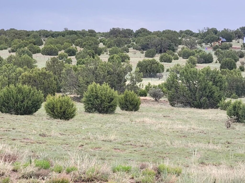 Property photo for land for sale in Torrance County New Mexico