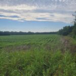 Property photo for land for sale in Lamar County Texas