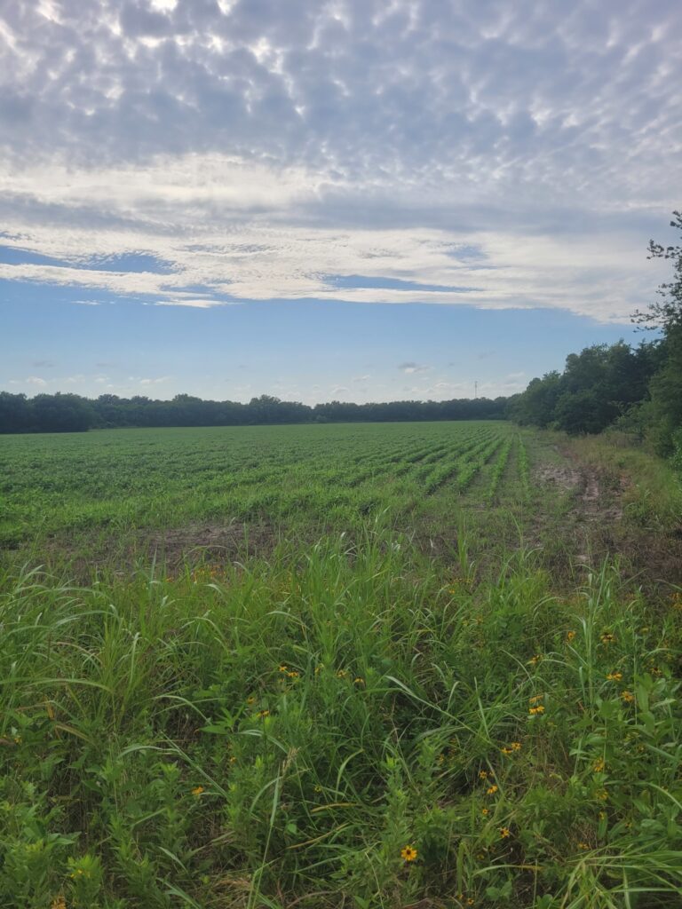 Property photo for land for sale in Lamar County Texas