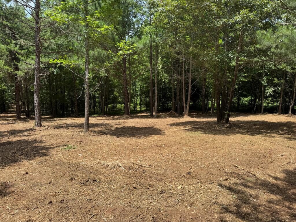 Property photo for land for sale in Mecklenburg County Virginia