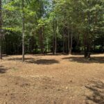 Property photo for land for sale in Mecklenburg County Virginia