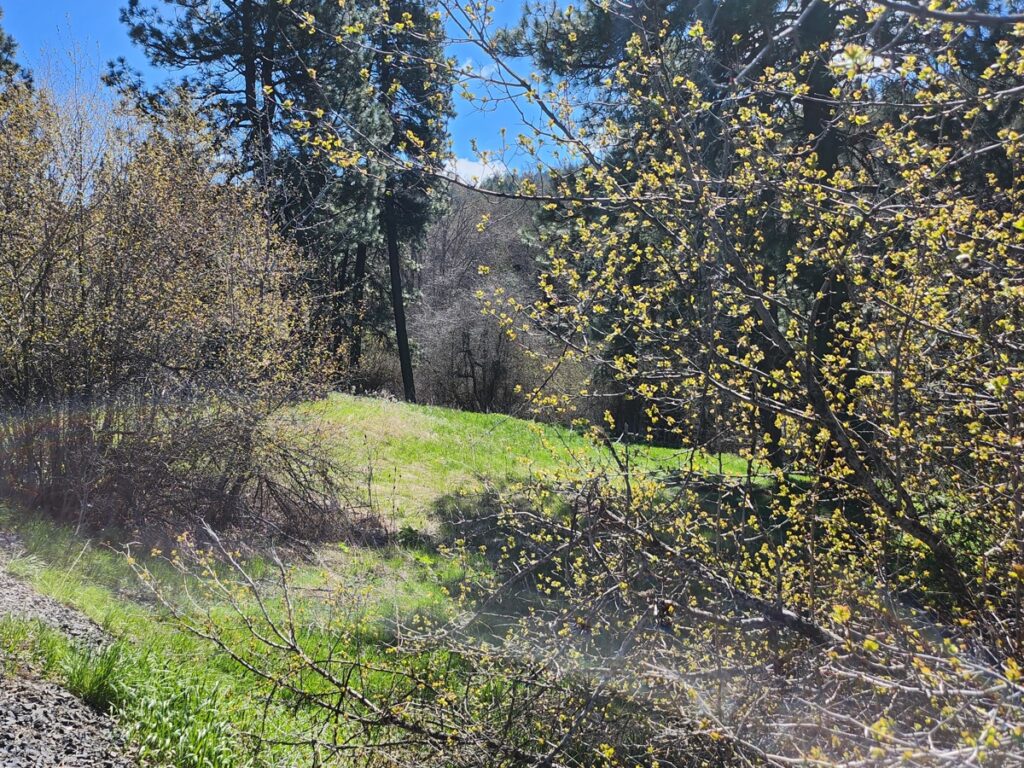 Property photo for land for sale in Latah County Idaho