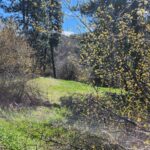 Property photo for land for sale in Latah County Idaho