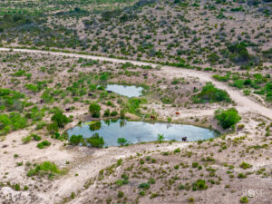 Property photo for land for sale in Crockett County Texas