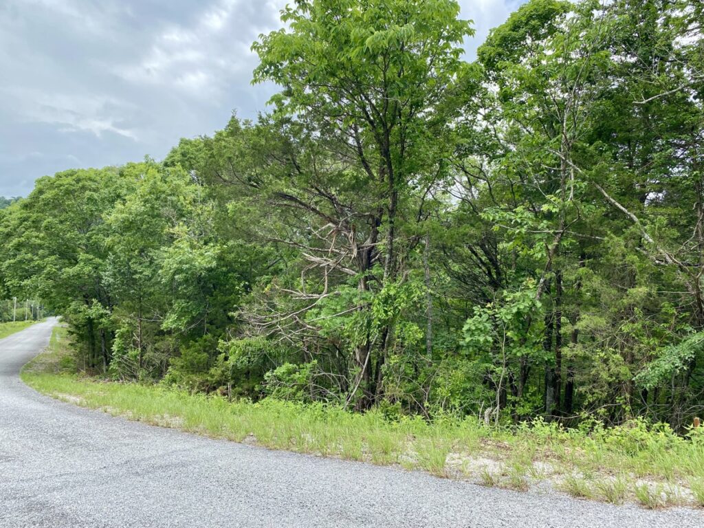 Property photo for land for sale in Carroll County Arkansas