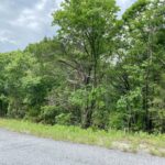 Property photo for land for sale in Carroll County Arkansas