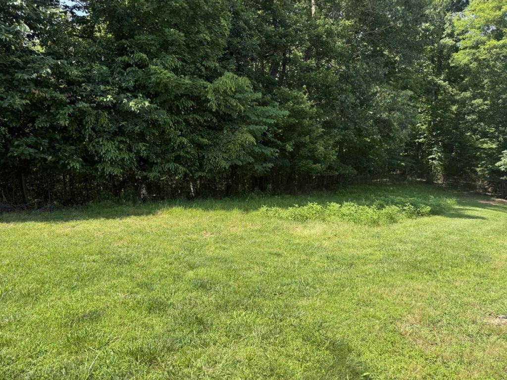 Property photo for land for sale in Clinton County Kentucky
