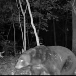 Property photo for land for sale in Washington County Arkansas