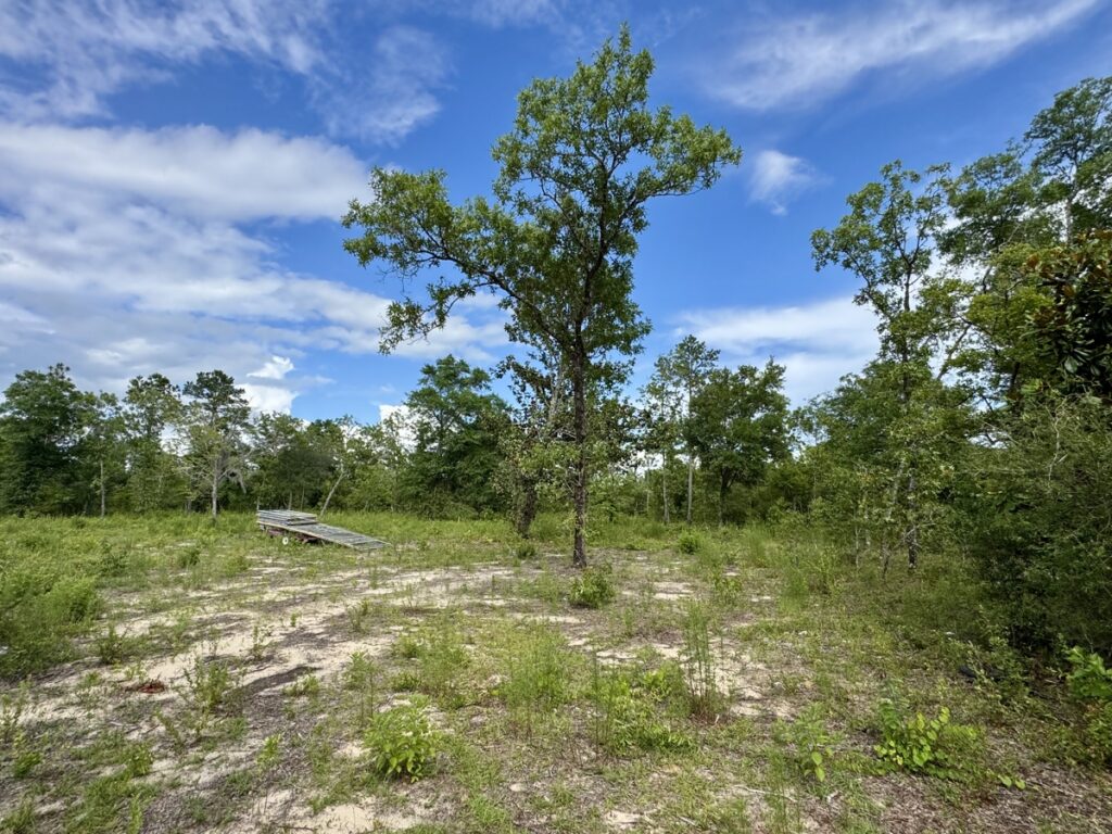 Property photo for land for sale in Jackson County Florida