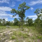 Property photo for land for sale in Jackson County Florida