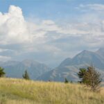 Property photo for land for sale in Park County Montana