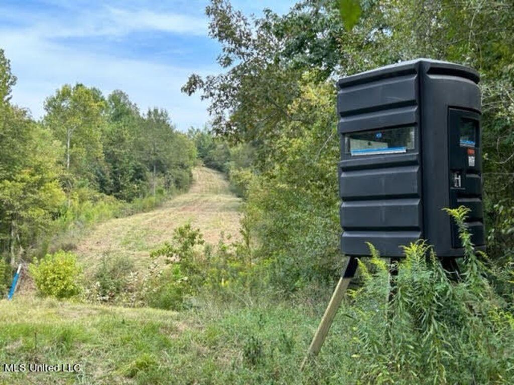 Property photo for land for sale in Yazoo County Mississippi