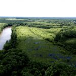 Property photo for land for sale in Martin County North Carolina