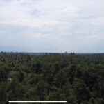Property photo for land for sale in Jackson County Florida