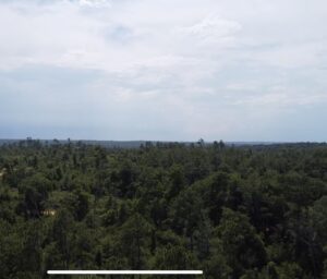 Property photo for land for sale in Jackson County Florida