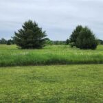 Property photo for land for sale in Waupaca County Wisconsin