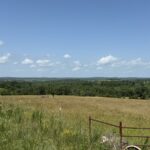 Property photo for land for sale in Texas County Missouri