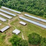 Property photo for land for sale in Jackson County Louisiana