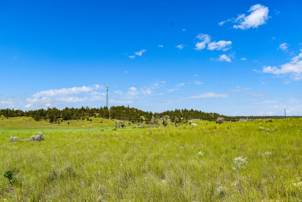 Property photo for land for sale in Musselshell County Montana